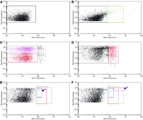 Two Dimensional Dot Plots Of Flow Cytometry Data Showing The Intensity