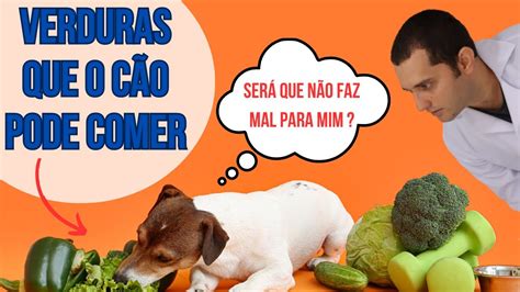 7 Verduras Que O Cachorro Pode Comer YouTube