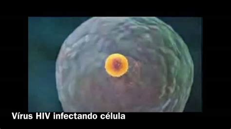 Vídeo primeira semana Vírus HIV infectando célula YouTube