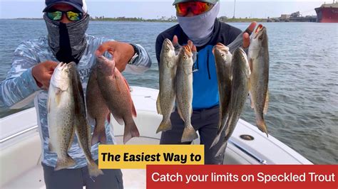 Easiest Way To Get Your Limits On Speckled Trout Freeport Surfside