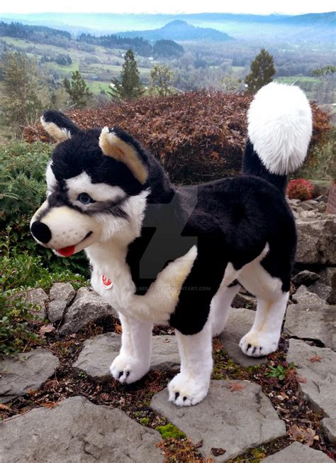 Steiff Studio Husky Black And White Version By Lilmissaleu On Deviantart