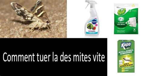 Comment se débarrasser des mites une révision des meilleurs pièges