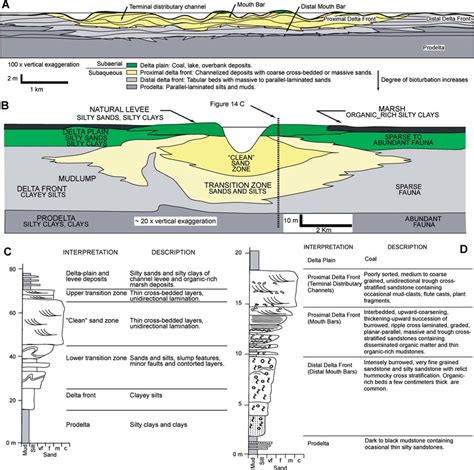 Comparison Between Digitate And Lobate River Dominated Deltas A