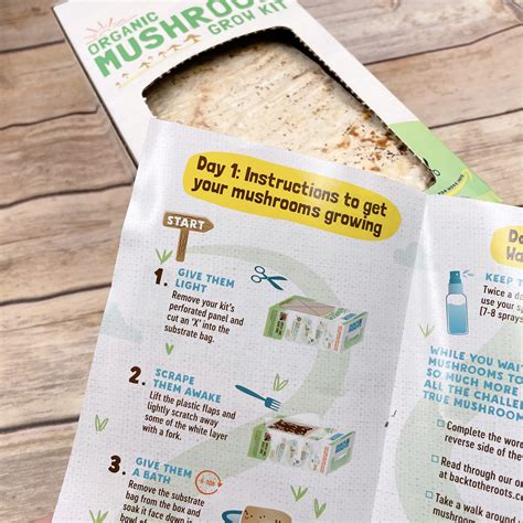 Growing Guides Explain How To Use Your Mushroom Kit - RYZE Superfoods