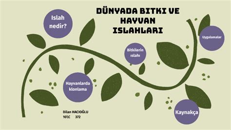 DÜNYADA ve ÜLKEMİZDE BİTKİ ve HAYVAN ISLAHI by Dilan HACIOĞLU on Prezi