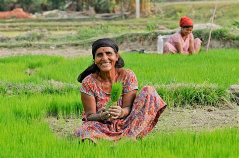 Benefits Cattle Oilers In Nepal