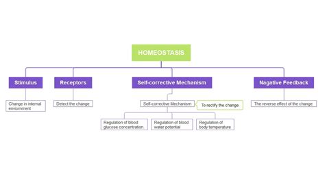 Homeostasis Concept Map Template Edrawmind The Best Porn Website