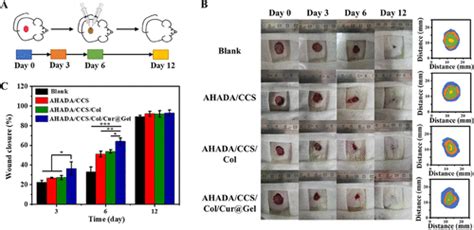 Mmp Responsive Nanoparticle Loaded Injectable Adhesive Self Healing