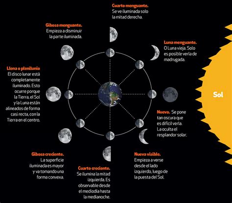 Fases De La Luna Informacion