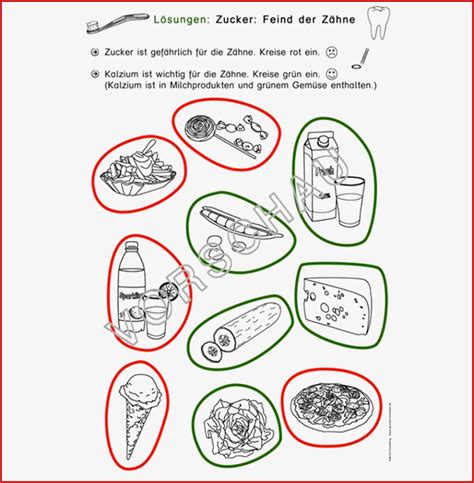 5 Sensationell Zahn Grundschule Arbeitsblätter Für 2022 Kostenlose