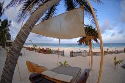 A Bed Sitting Under A Palm Tree On Top Of A Beach