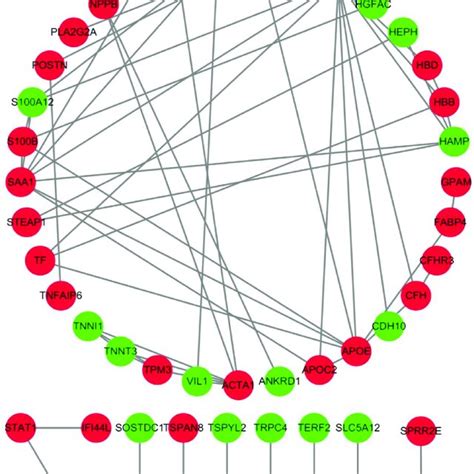 Construction Of Protein Protein Interaction Ppi Network For