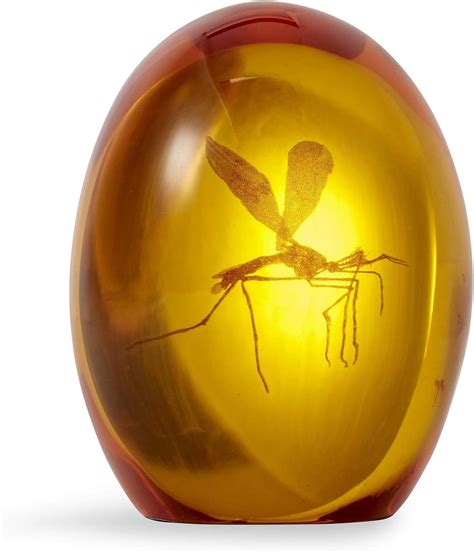 Buy Jurassic Park Mosquito In Amber Resin Prop Replica | Official ...