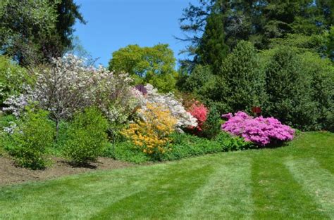 Biltmore Gardens | The Happy Wonderer ~ ellen b.