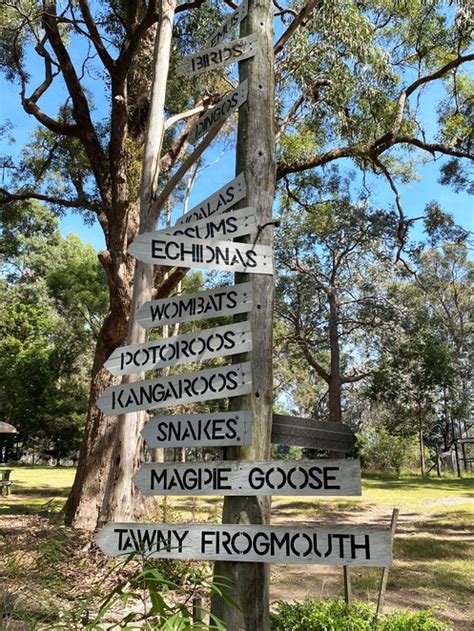 Potoroo Palace Native Animal Educational Sanctuary New South Wales