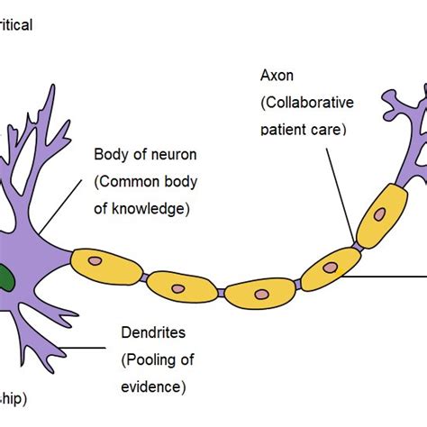 The Neuron Model Visualizes How Interprofessional Education And