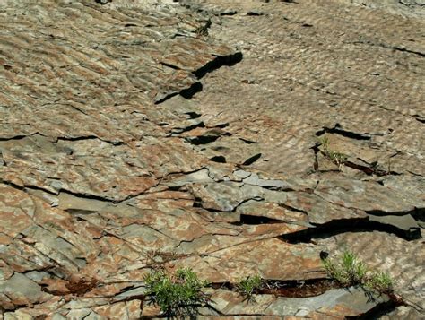 What Creates Ripple Marks In Rocks Naturally North Idaho