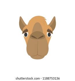 Cartoon Camel Face Drawing - You could also include this drawing with ...