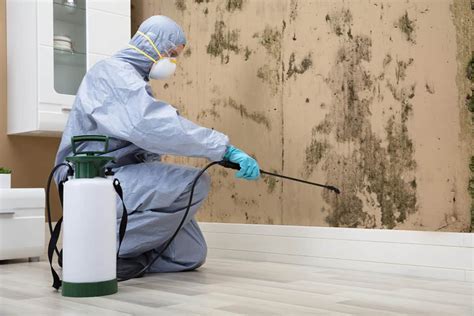 Mold Remediation In Orlando Mold Remediation Of Orlando