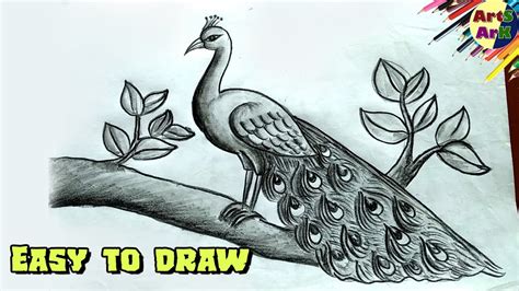 Easy Peacock Drawing With Pencil Only ময়ূর আঁকার সবচেয়ে সহজ পদ্ধতি