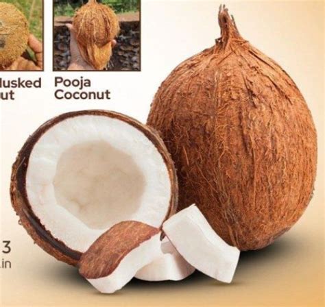 Raw Natural Semi Husked Coconut For Pooja At Best Price In Palakkad