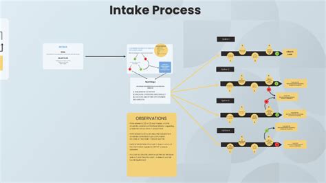 intake process  micaela fonte  prezi
