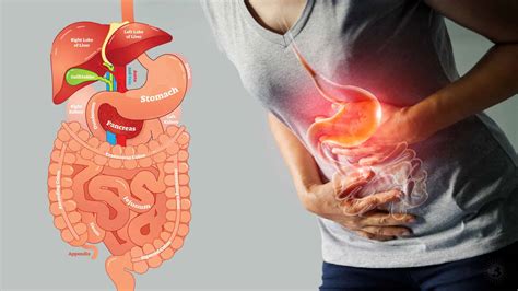 What Are The Common Symptoms That Point To Poor Gut Health Metro