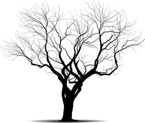 Black Branch Tree Or Naked Trees Silhouettes Set Hand Drawn Isolated