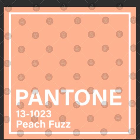 Pan Tone 13 1023 Peach FuzzPAN TONE Color Of The Year 2024 House Flags