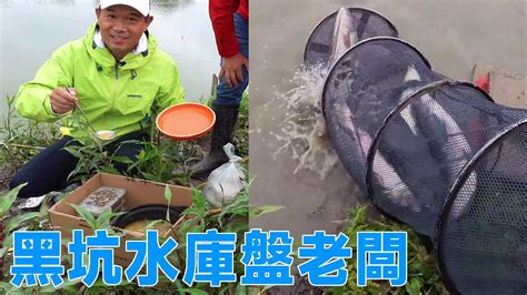 【鄧剛釣魚】黑坑水庫盤老闆，今天又吃了免費的午餐，下次換土雞還是小山羊，你們說了算 Youtube