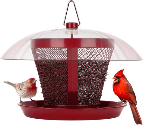 Amazon Kingsyard Bird Feeder For Outside Metal Mesh Wild Bird