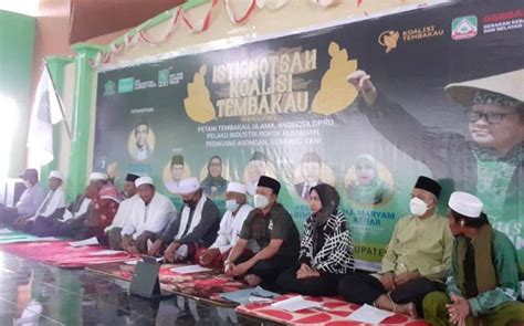 Dpr Usulkan Pentingnya Peta Jalan Untuk Kesejahteraan Petani Tembakau