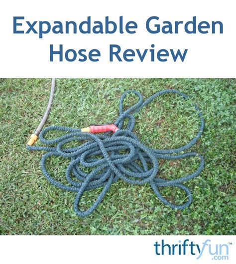 Expandable Garden Hose Product Review | ThriftyFun