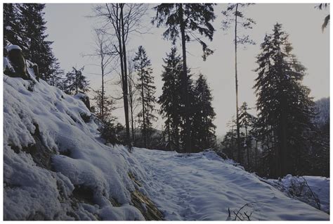 Fichtelgebirge Fichtelgebirge Zauberwald Flickr