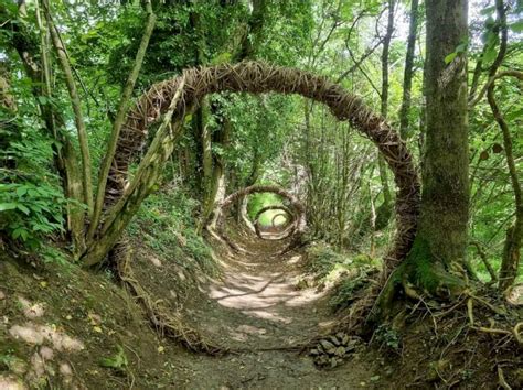 Il Sentiero Dei Sarvanot Di Monterosso Grana Entra Nel Patrimonio