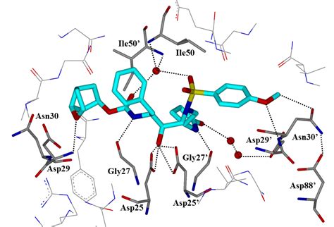 Purdue Chemistry The Ghosh Laboratory Hiv Aids Research