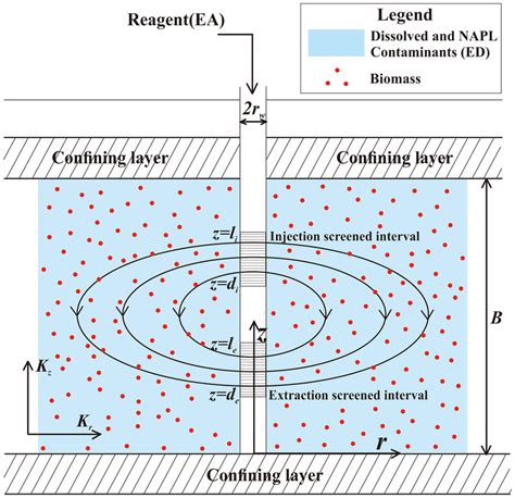 Schematic Diagram Of A Vcw Remediation System In A Naplcontaminated