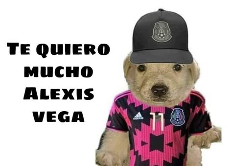 Te Quiero Mucho Memes Del Perrito Que Apoyan A México En Tokio 2020