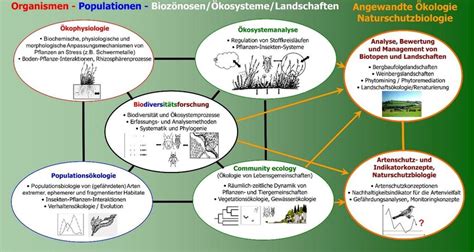 Abb Schematische Darstellung Der Lehr Und Forschungsgebiete Der Ag