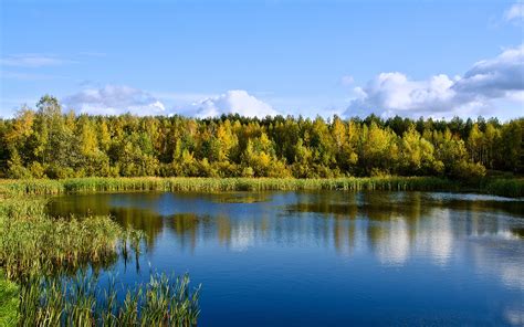 Fond Décran Paysage Forêt Lac Eau La Nature Réflexion Région