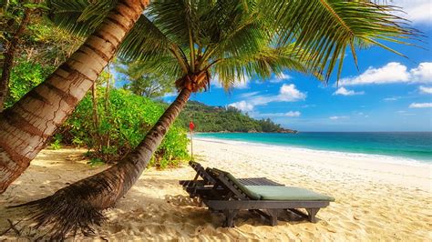 Hd Wallpaper Hawaii Coast Blue Ocean Palms Wind Blue Sky Summer