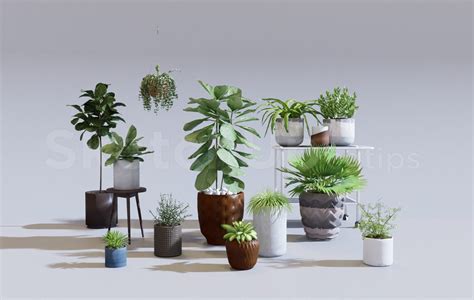 6935. Free Sketchup Plants Models Download