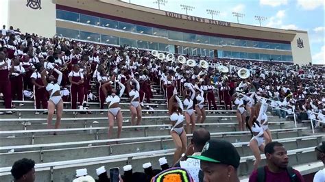 Aamu Band And Dancin Divas 2023 I Think I Love Her Gucci Mane Youtube