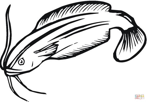 Catfish Coloring Page Free Printable Coloring Pages