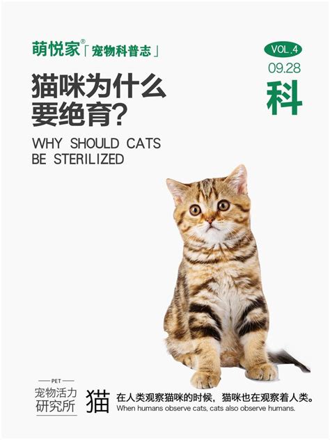 猫咪为什么要绝育？ 知乎