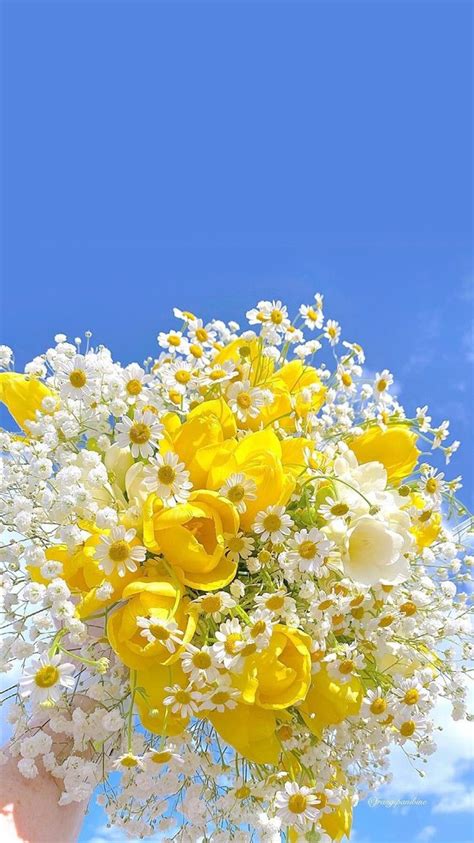 아이폰 여름 배경화면 감성 바다 꽃 : 네이버 블로그 Frühling Wallpaper, Flower Iphone ...