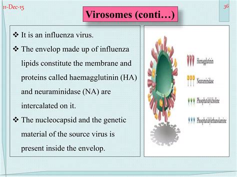 Vesicular Drug Delivery System Ppt