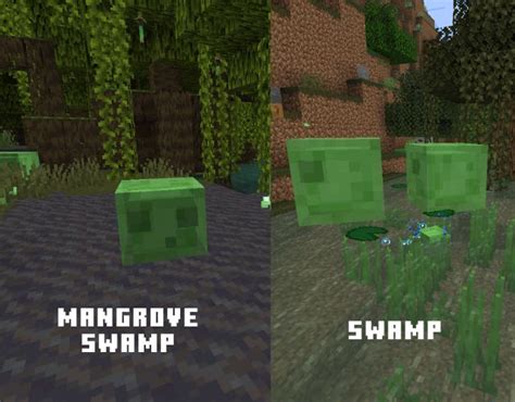 How To Find Slimes And Make A Slime Farm In Minecraft 2024 Beebom