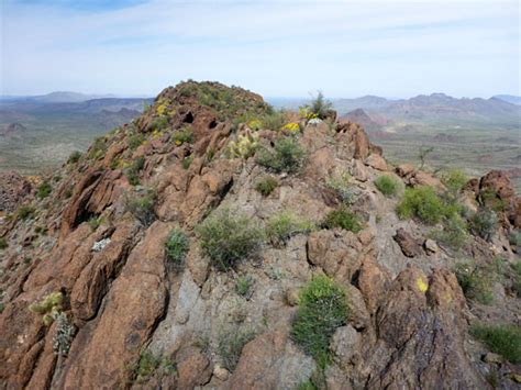 Pinkley Peak Organ Pipe Cactus National Monument Arizona