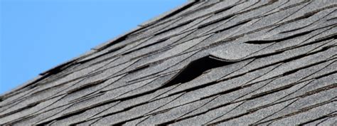 Creased Shingles Roof Damage Signs B M Roofing Colorado